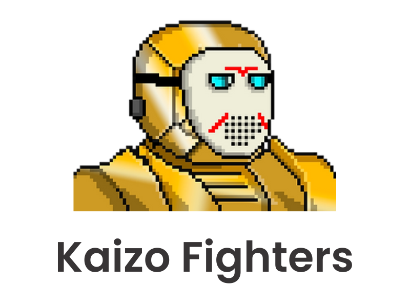 Kaizo Fighters